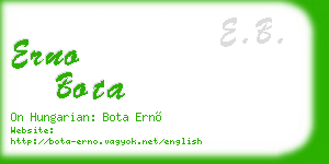 erno bota business card