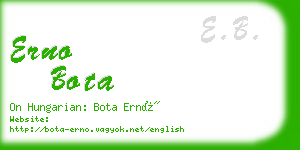 erno bota business card